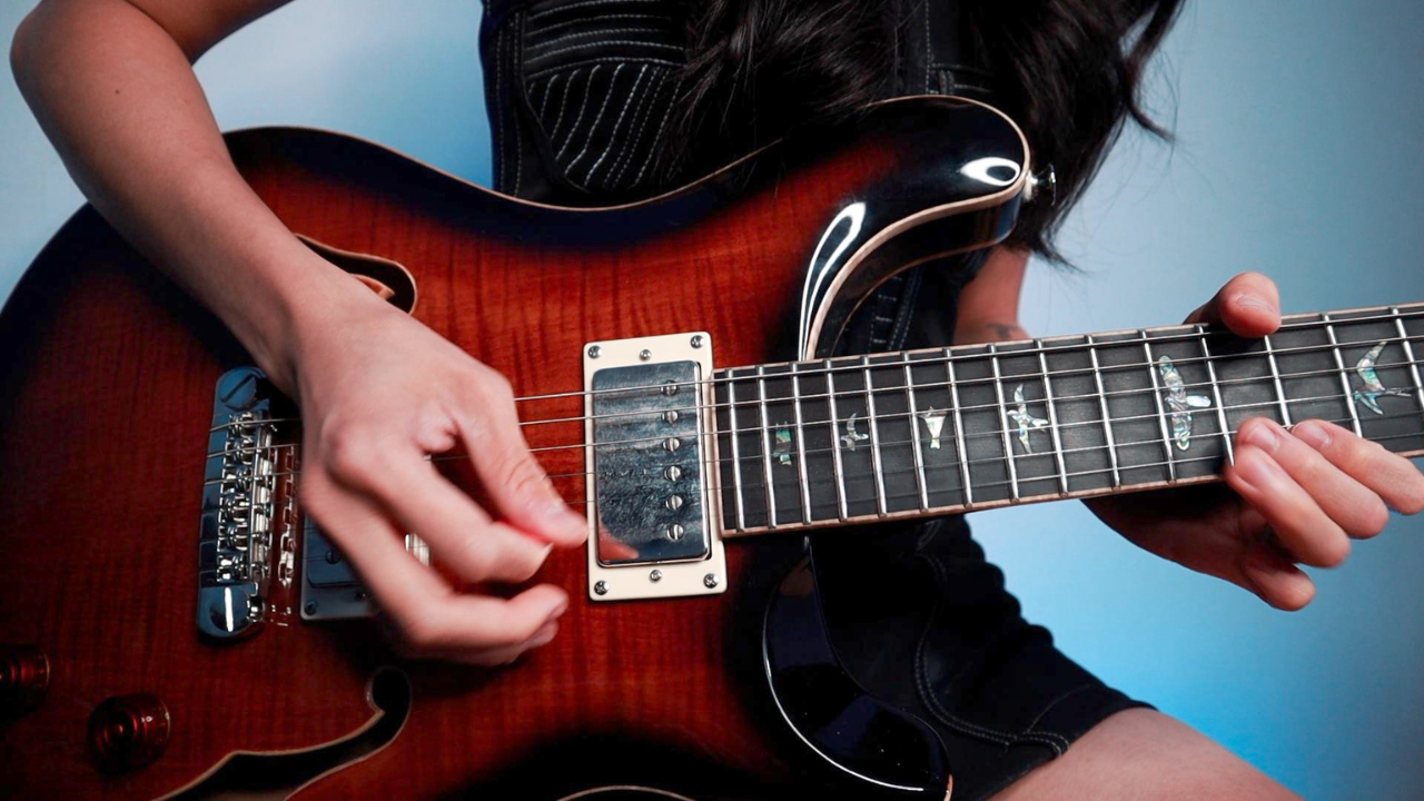 Bespoke Guitar Cover by Rikki Lee
